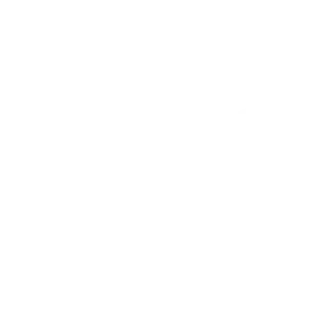 Rockwood Lithium copia